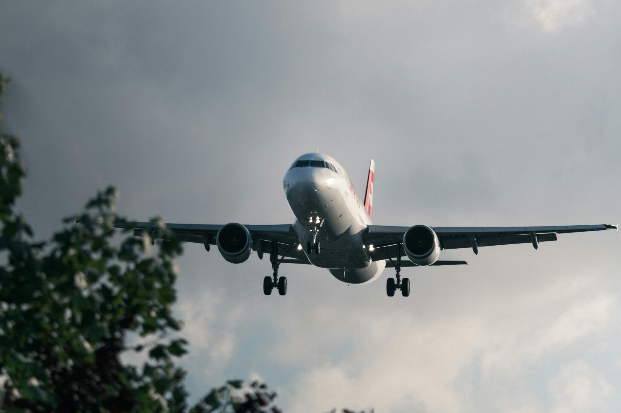 pexels njeromin 14760609