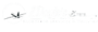 gemini generated image 9sbugd9sbugd9sbu